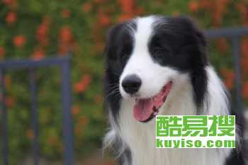 3fccafcb2156fc55d6e919518859c63c.jpg