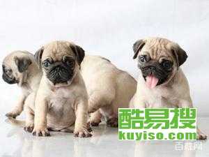 bd61000435dc4a3241e2a0fe750ae913.jpg