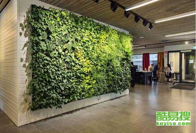 好，6平方小阳台改植物墙，90%业主踩过的3个大坑